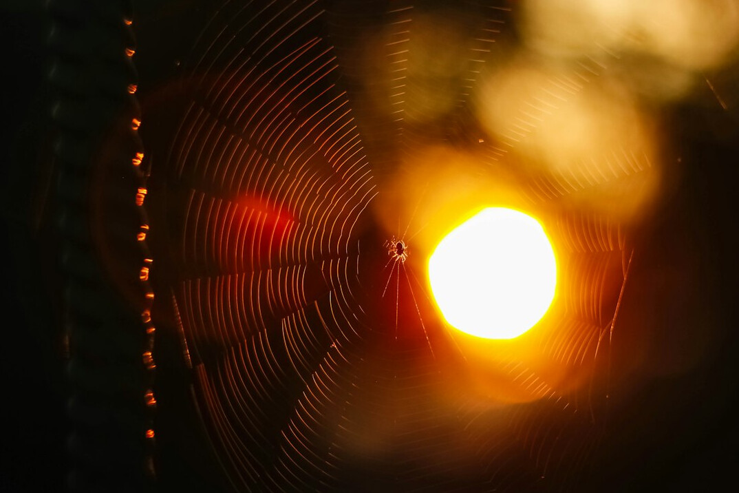 Close-up of a vintage condenser microphone in warm side light